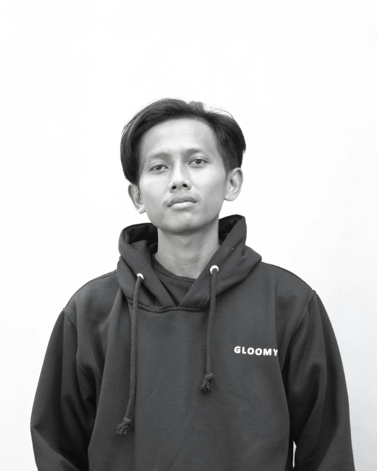 Hoodies category
